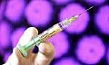 היענותן של נשים לסביות לבצע חיסון HPV