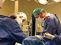 لأول مرة في مستشفى "هيلل يافي" وفي البلاد عموماً: عملية جراحية مبتكرة لتكوين مهبل للمرأة التي تولد مع مهبل غير كامل التخليق